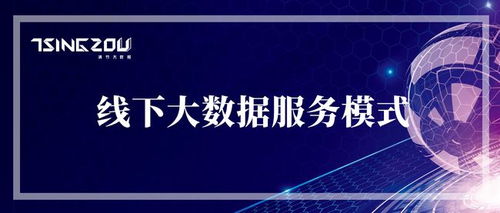 連接物理與數(shù)字世界 線下大數(shù)據(jù)服務(wù)模式的市場(chǎng)營(yíng)銷洞察
